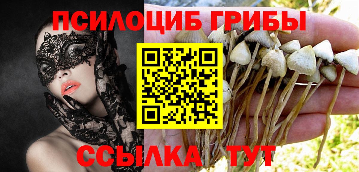 Магадан  Галлюциногенные грибы ЛСД  Вход с VPN 