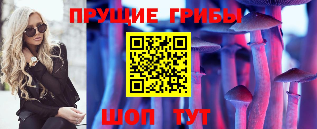 Псилоцибиновые грибы Cubensis Магадан
